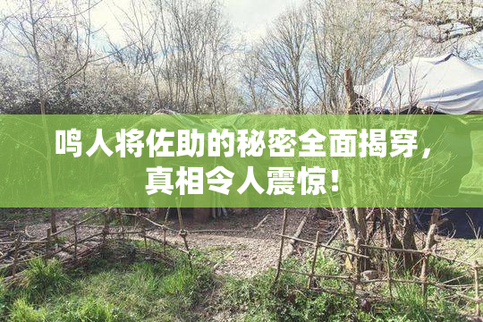 鸣人将佐助的秘密全面揭穿，真相令人震惊！