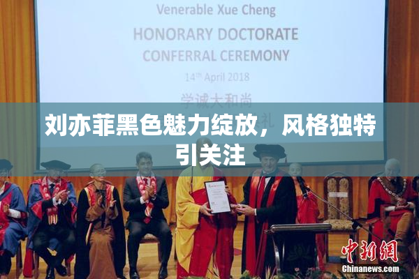 刘亦菲黑色魅力绽放，风格独特引关注