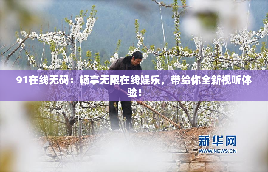 91在线无码：畅享无限在线娱乐，带给你全新视听体验！