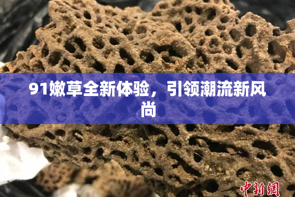 91嫩草全新体验，引领潮流新风尚