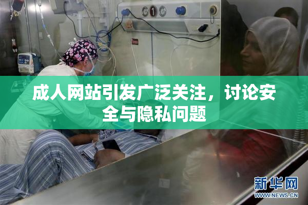 成人网站引发广泛关注，讨论安全与隐私问题