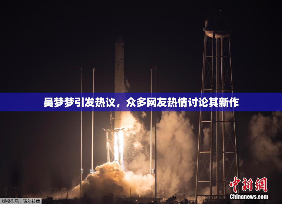 吴梦梦引发热议，众多网友热情讨论其新作
