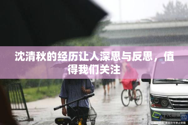沈清秋的经历让人深思与反思，值得我们关注