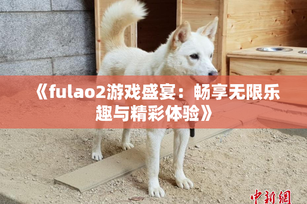 《fulao2游戏盛宴：畅享无限乐趣与精彩体验》