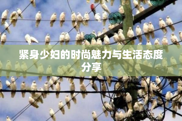 紧身少妇的时尚魅力与生活态度分享