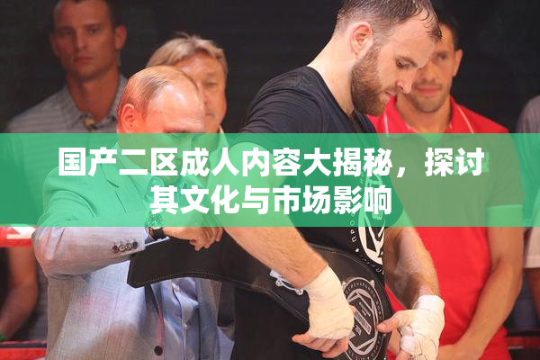 国产二区成人内容大揭秘，探讨其文化与市场影响