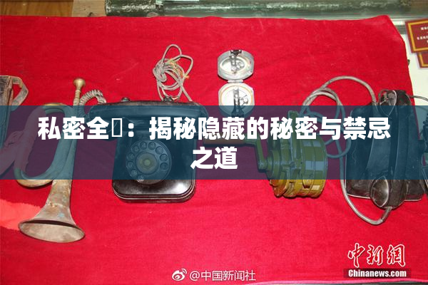 私密全婐：揭秘隐藏的秘密与禁忌之道