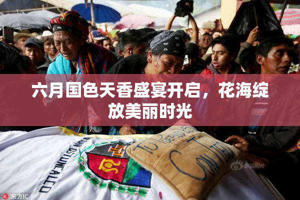 六月国色天香盛宴开启，花海绽放美丽时光