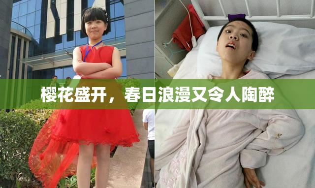樱花盛开，春日浪漫又令人陶醉