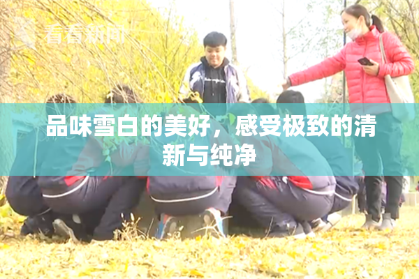 品味雪白的美好，感受极致的清新与纯净
