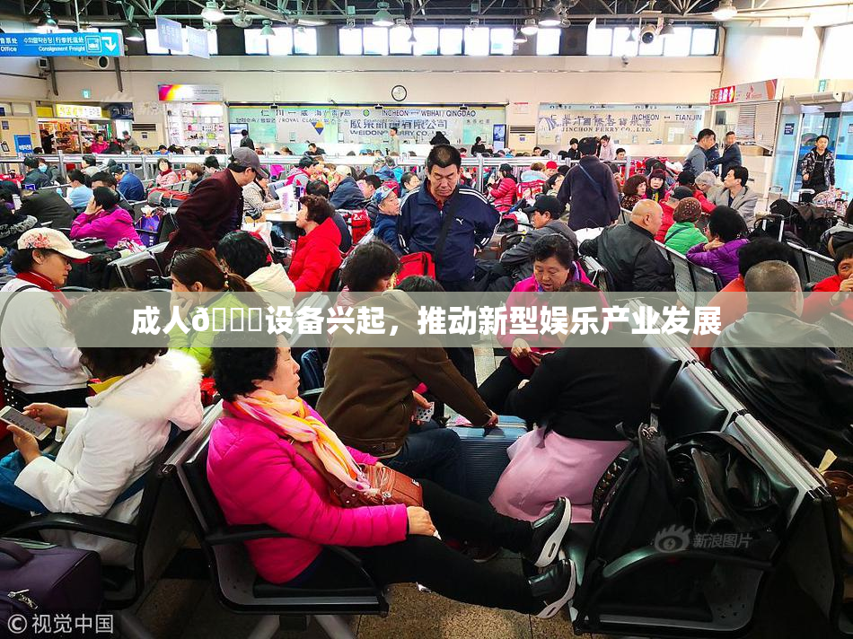 成人🍆设备兴起，推动新型娱乐产业发展