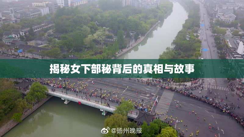 揭秘女下部秘背后的真相与故事