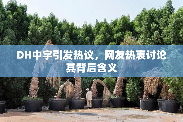 DH中字引发热议，网友热衷讨论其背后含义