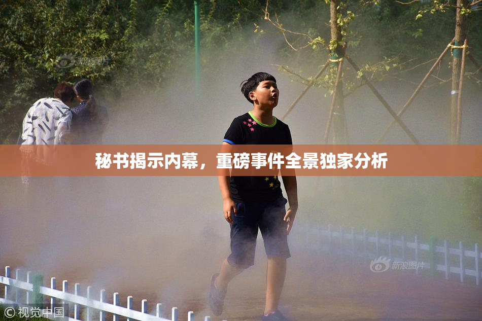 秘书揭示内幕，重磅事件全景独家分析