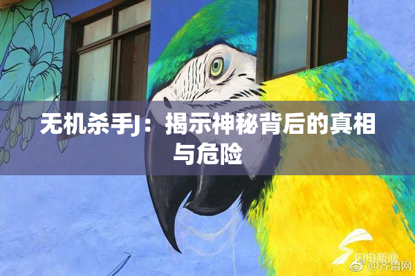 无机杀手J：揭示神秘背后的真相与危险