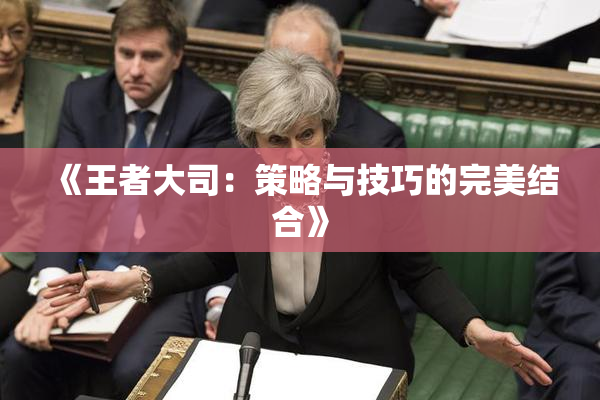 《王者大司：策略与技巧的完美结合》
