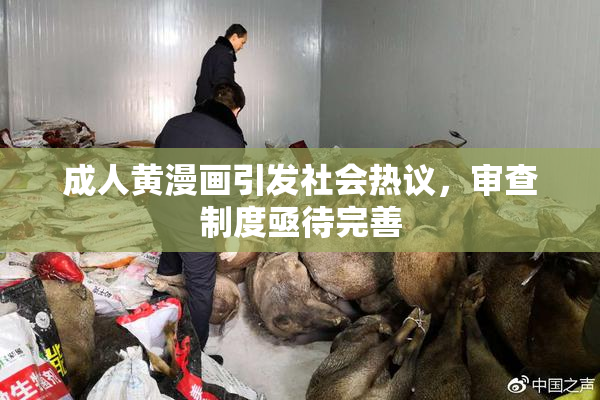成人黄漫画引发社会热议，审查制度亟待完善