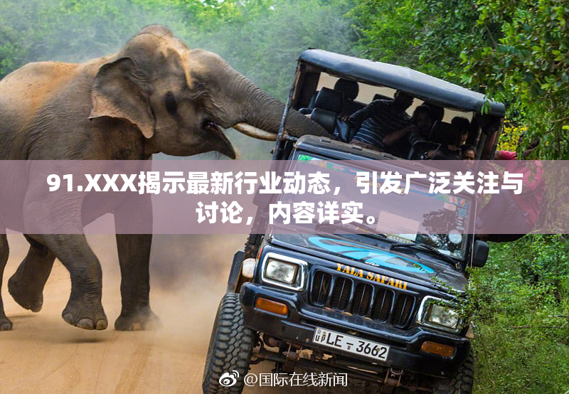 91.XXX揭示最新行业动态，引发广泛关注与讨论，内容详实。