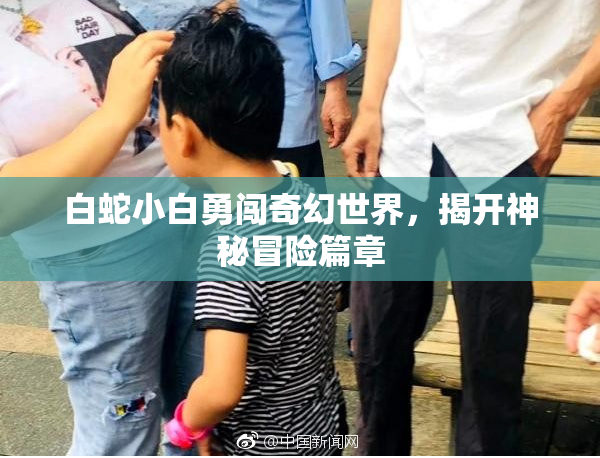 白蛇小白勇闯奇幻世界，揭开神秘冒险篇章
