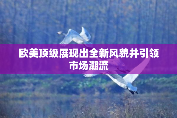 欧美顶级展现出全新风貌并引领市场潮流