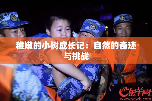 稚嫩的小树成长记：自然的奇迹与挑战