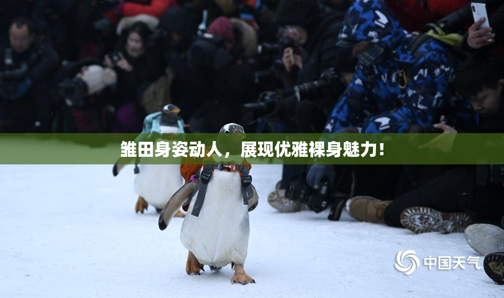 雏田身姿动人，展现优雅裸身魅力！