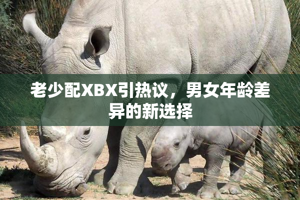 老少配XBX引热议，男女年龄差异的新选择
