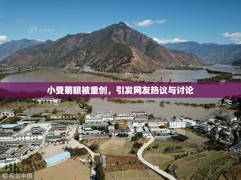 小受菊眼被重创，引发网友热议与讨论