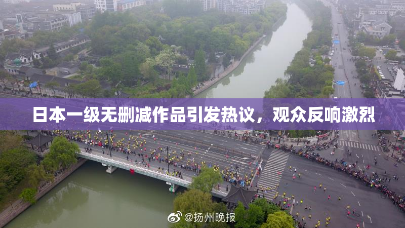 日本一级无删减作品引发热议，观众反响激烈
