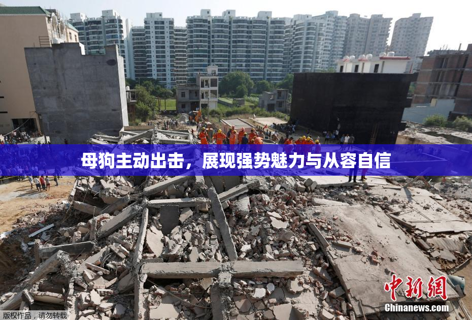 母狗主动出击，展现强势魅力与从容自信