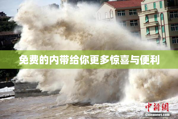 免费的内带给你更多惊喜与便利