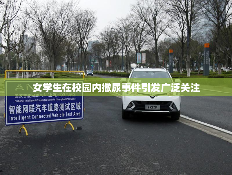 女学生在校园内撒尿事件引发广泛关注