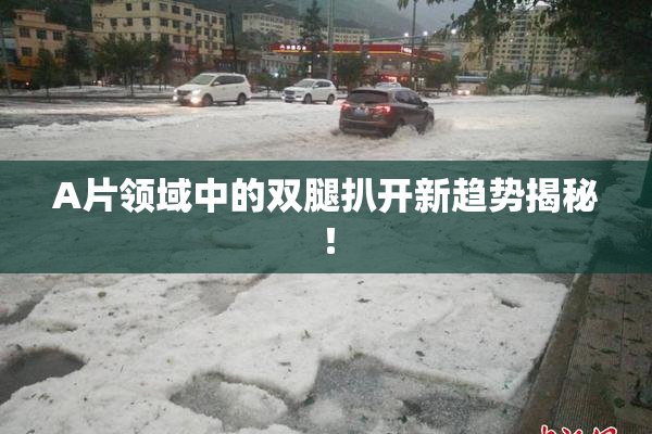 A片领域中的双腿扒开新趋势揭秘！