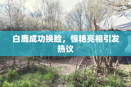 白鹿成功换脸，惊艳亮相引发热议
