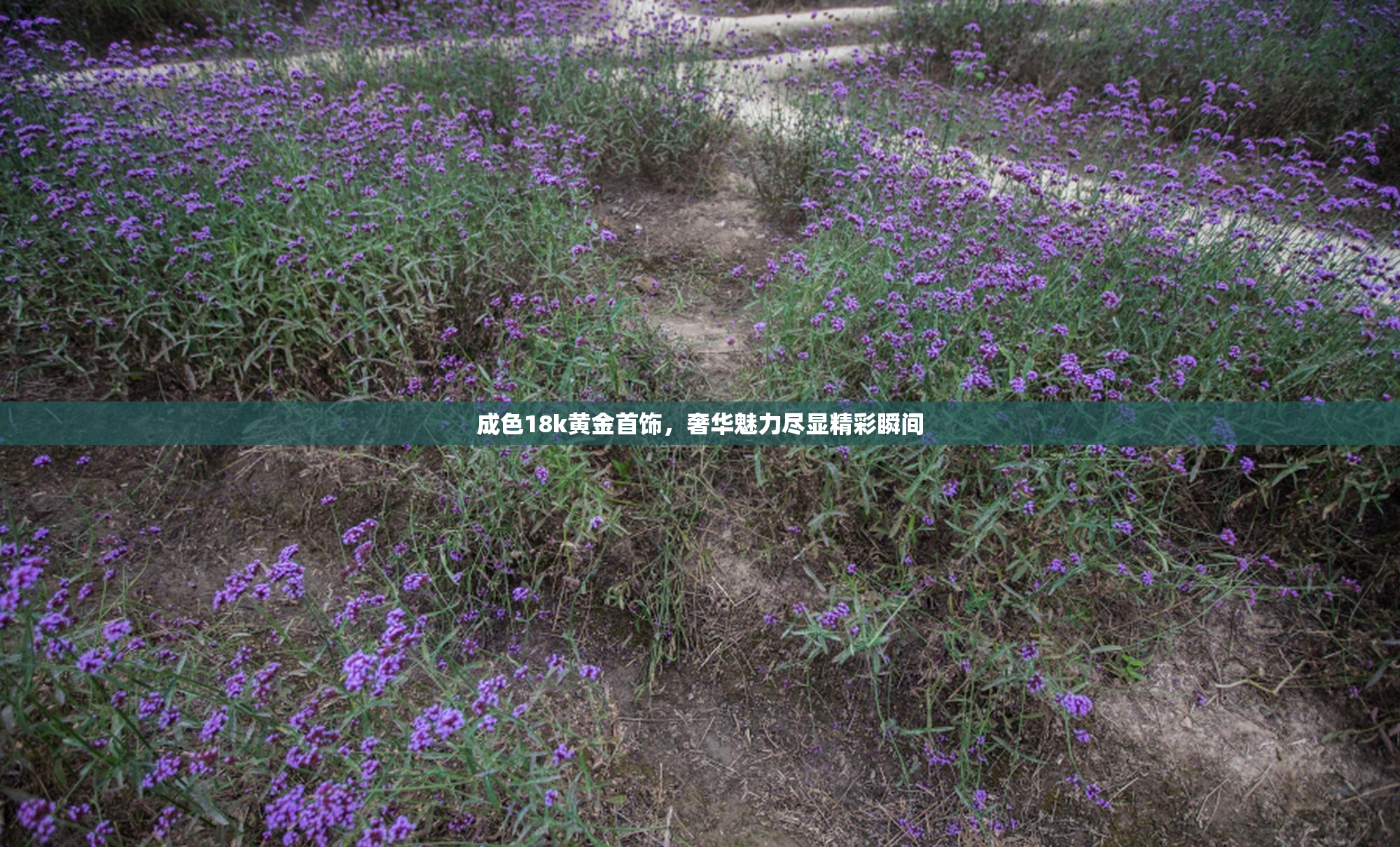 成色18k黄金首饰，奢华魅力尽显精彩瞬间