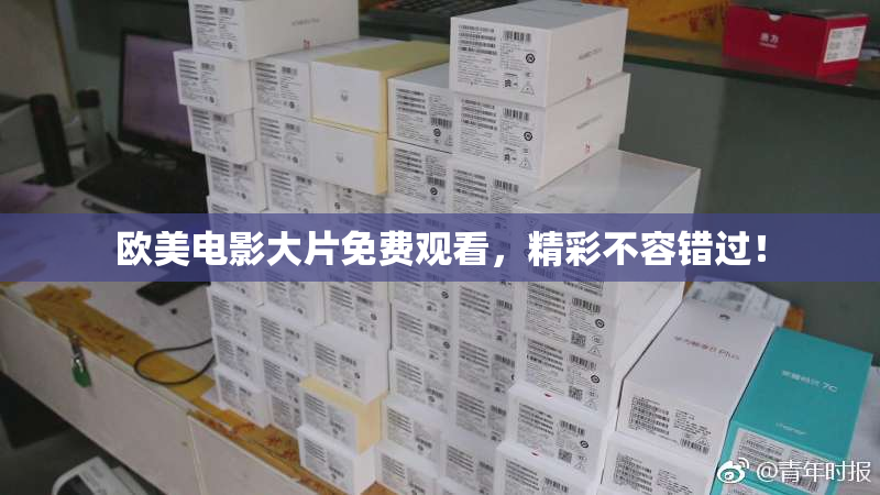 欧美电影大片免费观看，精彩不容错过！