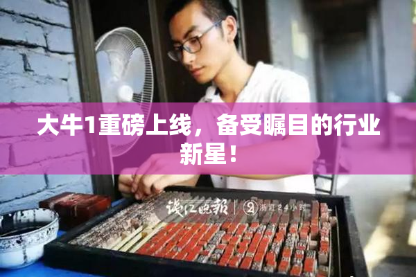 大牛1重磅上线，备受瞩目的行业新星！