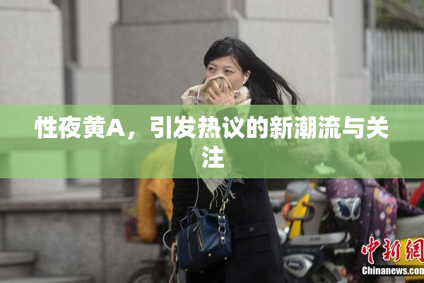 性夜黄A，引发热议的新潮流与关注