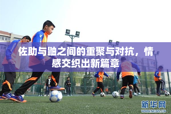 佐助与鼬之间的重聚与对抗，情感交织出新篇章