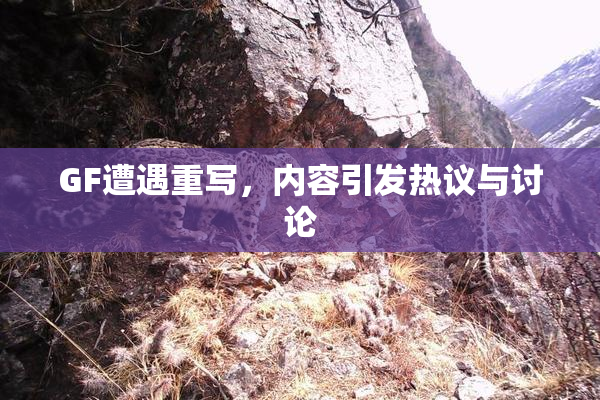 GF遭遇重写，内容引发热议与讨论