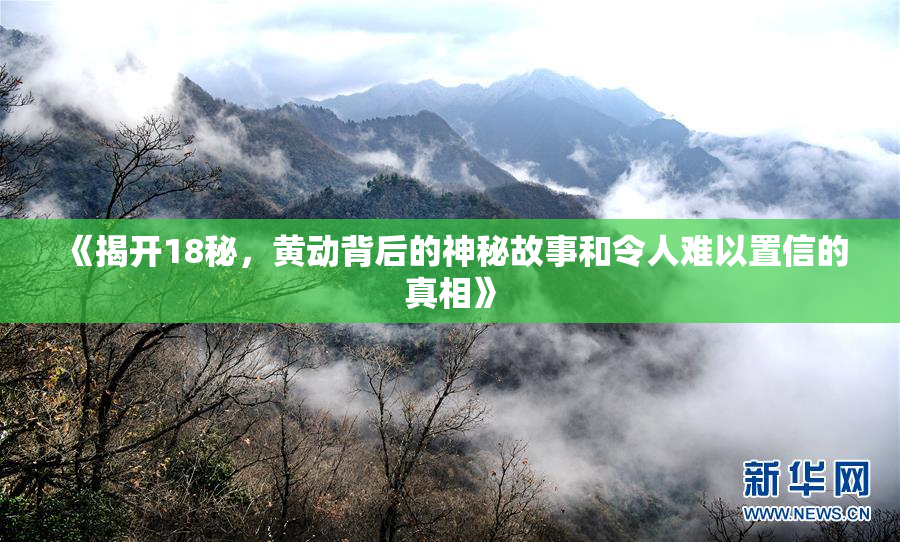 《揭开18秘，黄动背后的神秘故事和令人难以置信的真相》