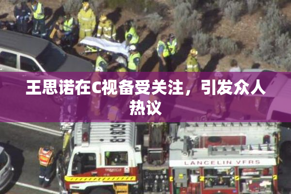 王思诺在C视备受关注，引发众人热议