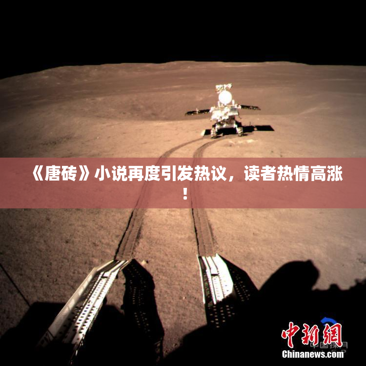 《唐砖》小说再度引发热议，读者热情高涨！