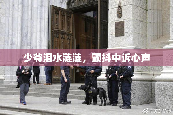少爷泪水涟涟，颤抖中诉心声