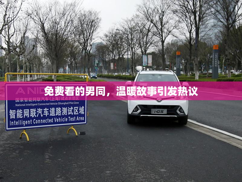 免费看的男同，温暖故事引发热议