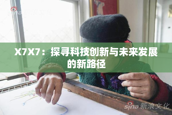 X7X7：探寻科技创新与未来发展的新路径