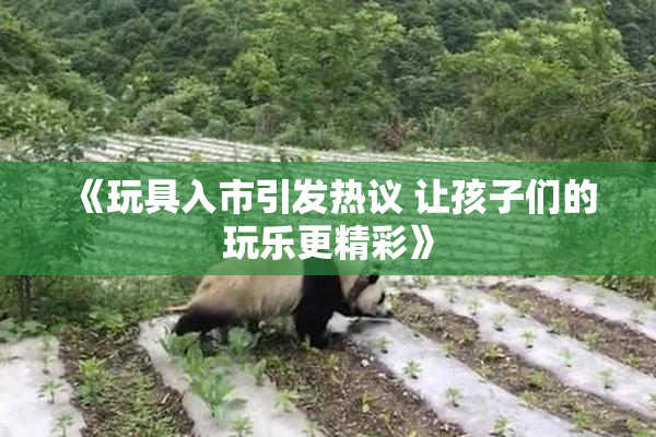 《玩具入市引发热议 让孩子们的玩乐更精彩》