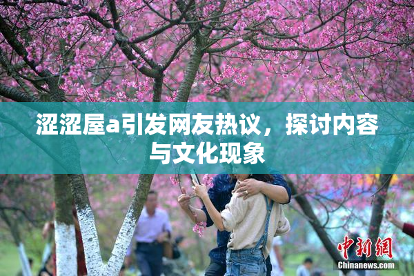 涩涩屋a引发网友热议，探讨内容与文化现象