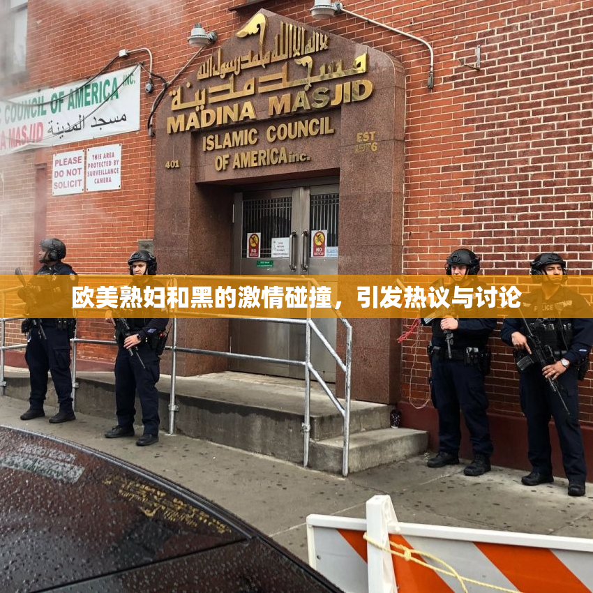 欧美熟妇和黑的激情碰撞，引发热议与讨论