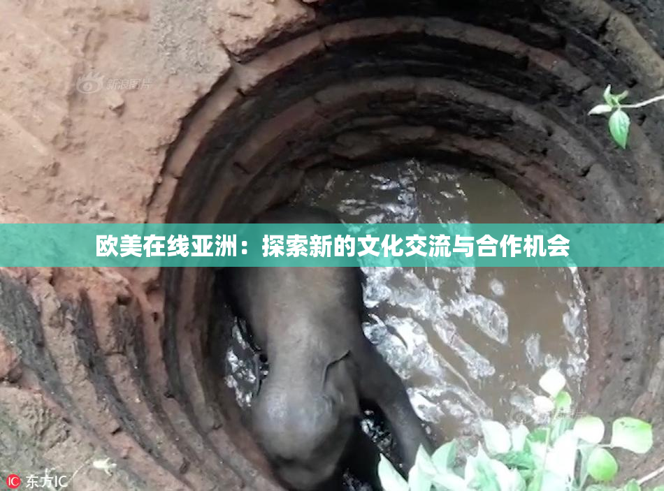 欧美在线亚洲：探索新的文化交流与合作机会
